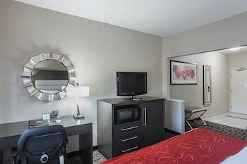 Suite, 1 King Bed with Sofa bed, Accessible, Non Smoking