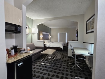 Suite, 1 King Bed with Sofa bed, Accessible, Non Smoking