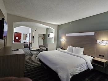 Suite, 1 King Bed with Sofa bed, Accessible, Non Smoking