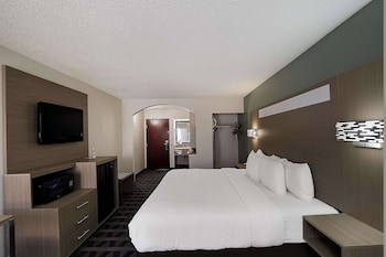 Standard Room, 1 King Bed, Non Smoking (Whirlpool in bath)