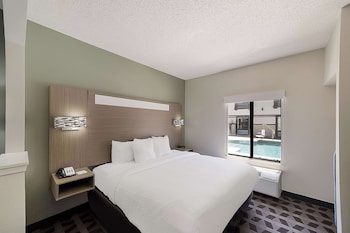 Standard Room, 1 King Bed, Non Smoking