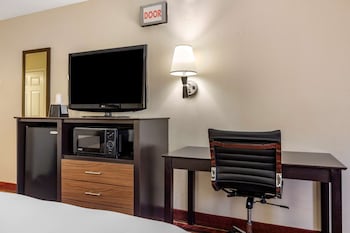 Standard Room, 1 King Bed, Accessible, Non Smoking