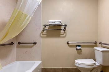 Standard Room, 1 King Bed, Accessible, Bathtub