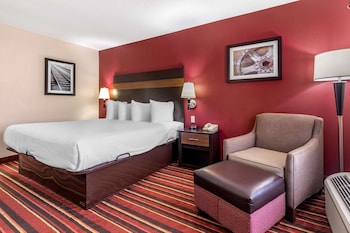 Standard Room, 1 King Bed, Non Smoking, Refrigerator & Microwave