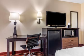 Standard Room, 1 King Bed, Non Smoking, Refrigerator & Microwave