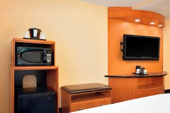 Executive Suite, 1 King Bed with Sofa bed