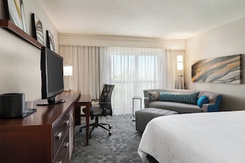 Room, 1 King Bed