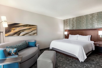 Room, 1 King Bed