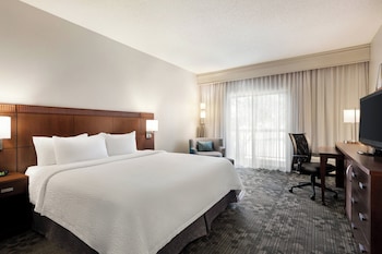 Room, 1 King Bed