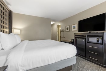 Room, 1 King Bed, Accessible, Non Smoking