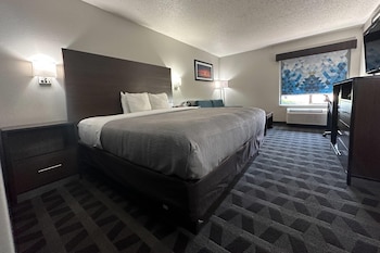 Room, 1 King Bed with Sofa bed, Smoking