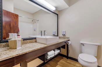 Superior Room, 1 King Bed, Non Smoking