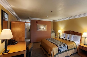 Room, 1 King Bed, Non Smoking