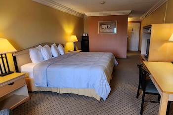 Room, 1 King Bed, Accessible, Non Smoking (Bathtub)