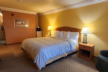 Room, 1 Queen Bed, Non Smoking