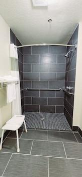 Room, 1 King Bed, Accessible, Non Smoking (Roll-In Shower)