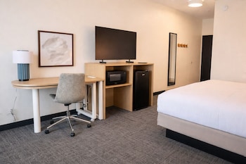 Room, 1 King Bed