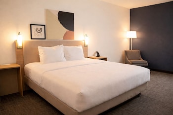 Room, 1 King Bed