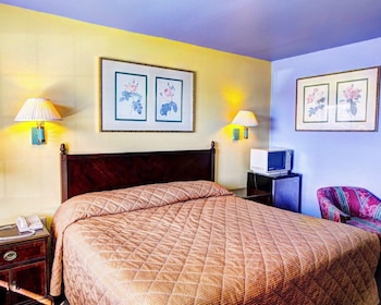 Room, 1 King Bed, Smoking
