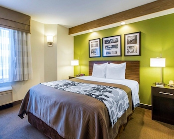 Standard Room, 1 Queen Bed, Non Smoking