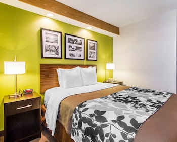 Standard Room, 1 Queen Bed, Non Smoking