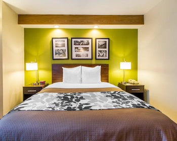 Standard Room, 1 Queen Bed, Non Smoking
