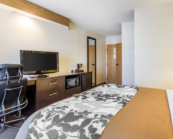 Standard Room, 1 Queen Bed, Accessible, Non Smoking