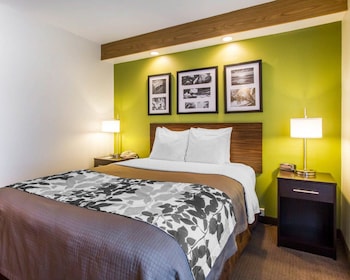 Standard Room, 1 Queen Bed, Accessible, Non Smoking