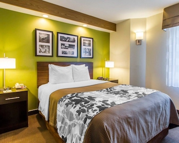 Standard Room, 1 Queen Bed, Accessible, Non Smoking