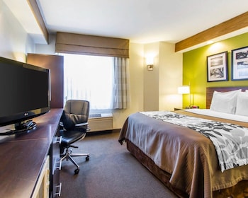 Standard Room, 1 Queen Bed, Non Smoking