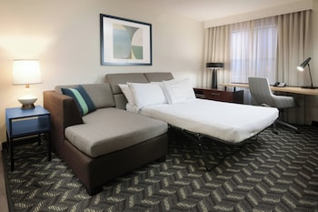 Studio, 1 Queen Bed with Sofa bed