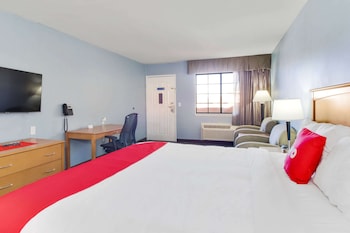 Room, 1 King Bed