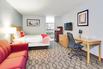 Room, 1 King Bed with Sofa bed
