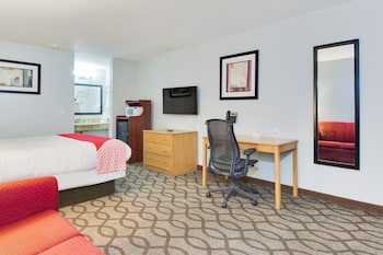 Room, 1 King Bed with Sofa bed