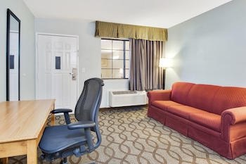 Room, 1 King Bed with Sofa bed