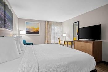 Room, 1 King Bed, Accessible, Non Smoking (Mobility/Hearing, Roll-In Shower)