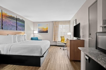 Room, 1 King Bed, Accessible, Non Smoking (Mobility/Hearing, Roll-In Shower)