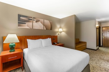 Suite, 1 Queen Bed, Non Smoking