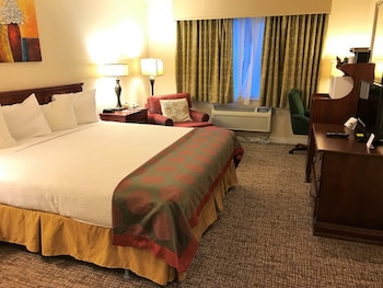 Room, 1 King Bed, Non Smoking
