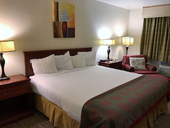 Room, 1 King Bed, Non Smoking