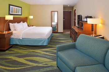 Room, 1 King Bed with Sofa bed