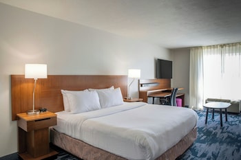 Room, 1 King Bed with Sofa bed