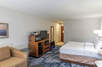 Room, 1 King Bed with Sofa bed