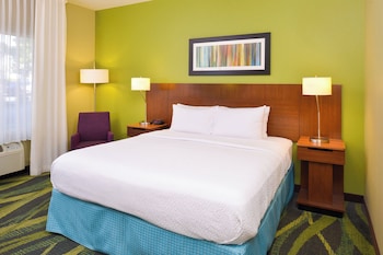 Room, 1 King Bed (Mobility Accessible, Roll-In Shower)