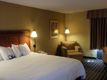 Room, 1 King Bed, Accessible, Non Smoking (Mobility,Hearing,Tub w/Grab Bars)