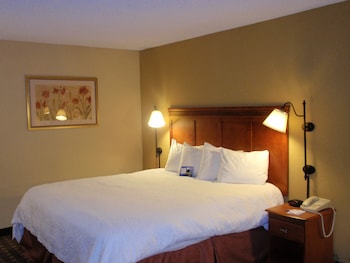 Studio Suite, 1 King Bed, Non Smoking