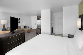 Studio, 1 King Bed with Sofa bed