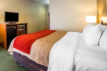 Standard Room, 1 King Bed, Non Smoking