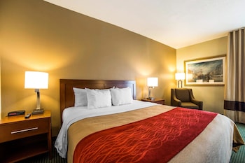 Standard Room, 1 King Bed, Non Smoking