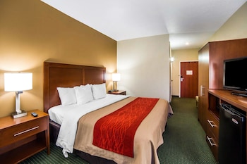 Standard Room, 1 King Bed, Accessible